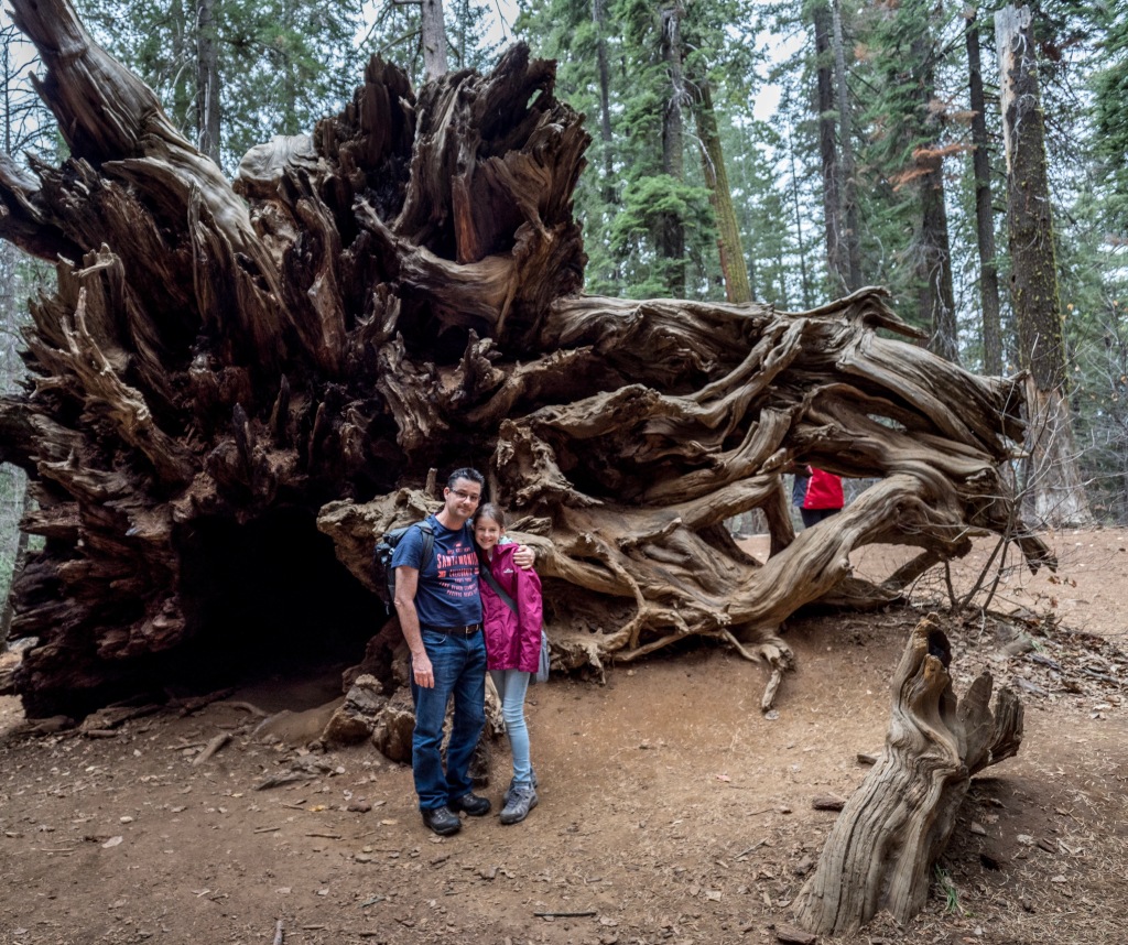 13: Yosemite: a paradise on earth