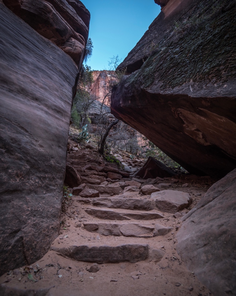 19: Zion National Park