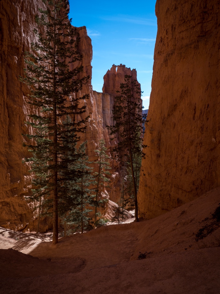 c020450-3.jpg