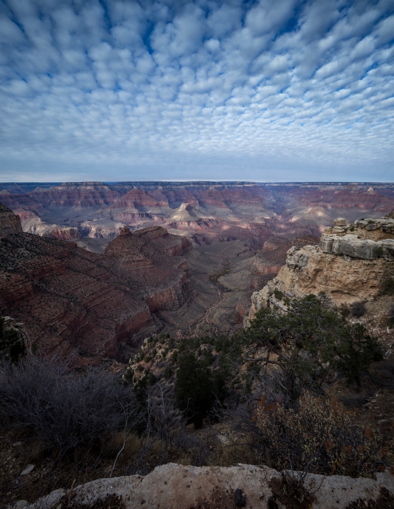 c041144-1.jpg