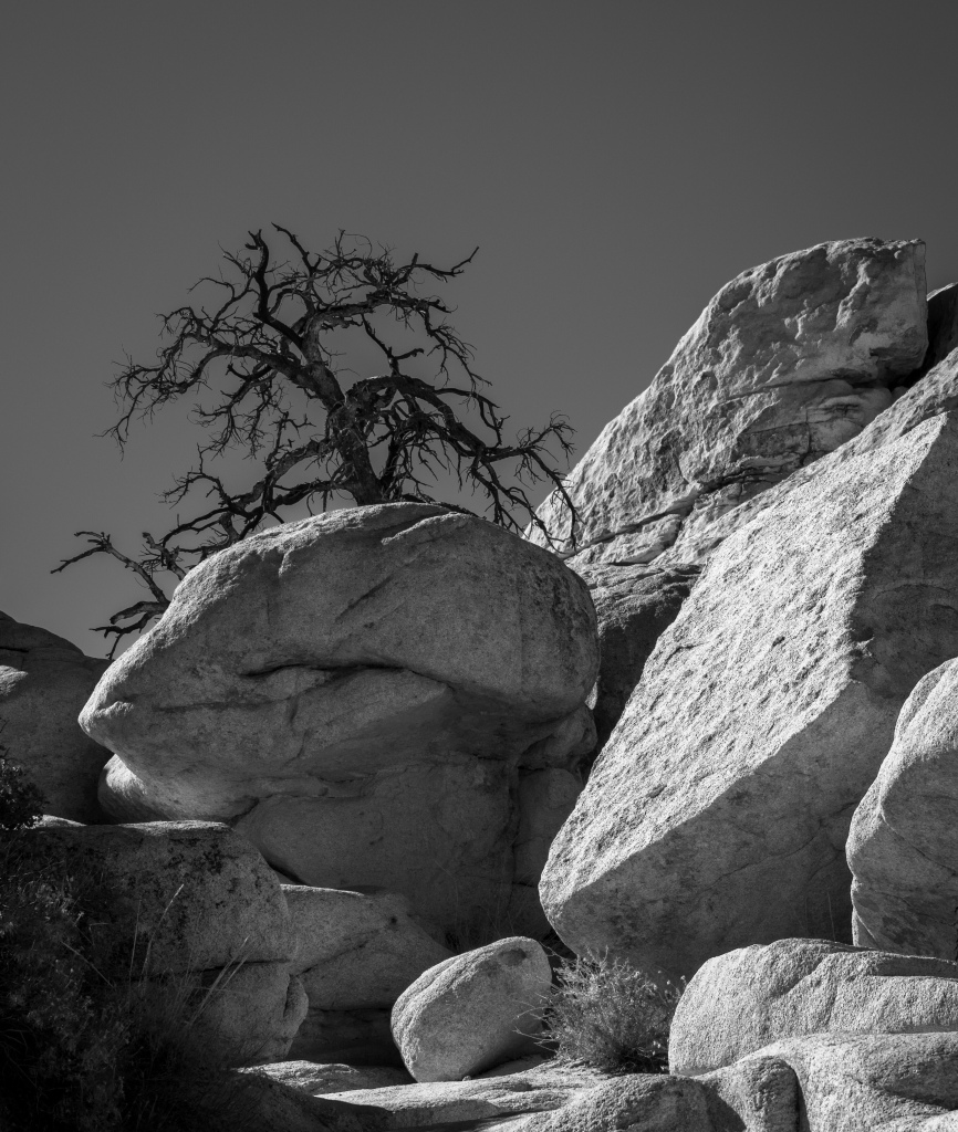 c060345.jpg