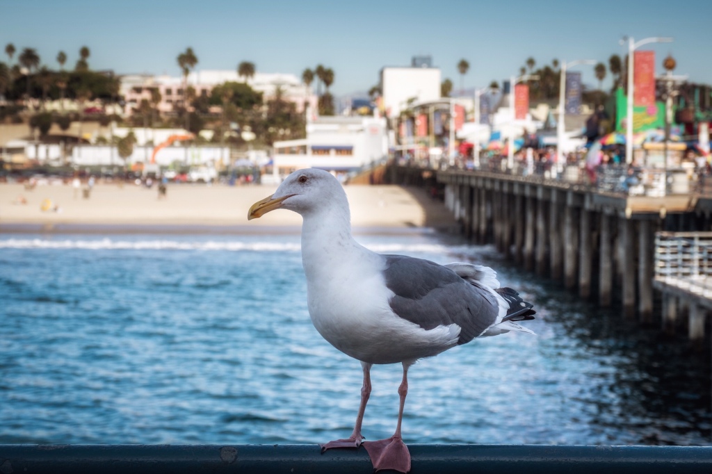 25: City of Angels (and some weird people)