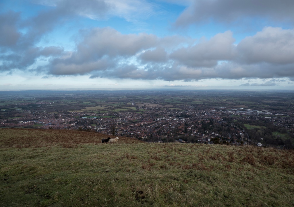 c260425.jpg