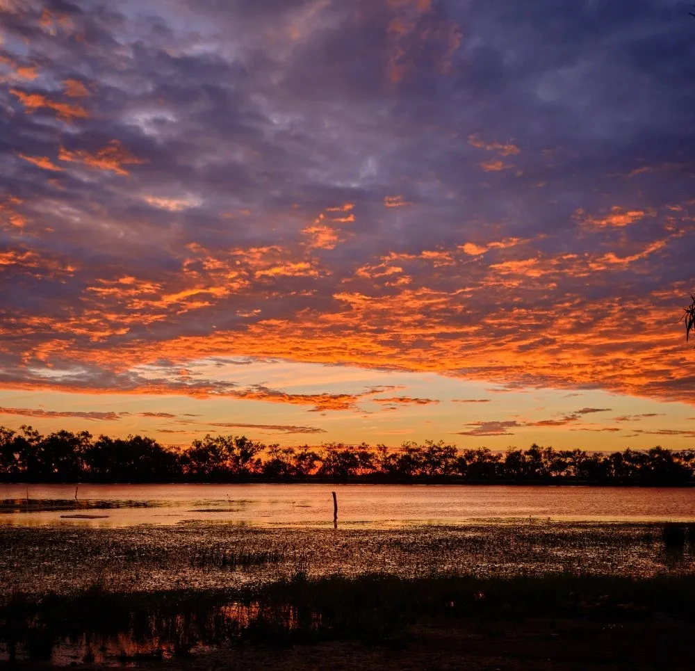 image_1742030793_1711575377.webp