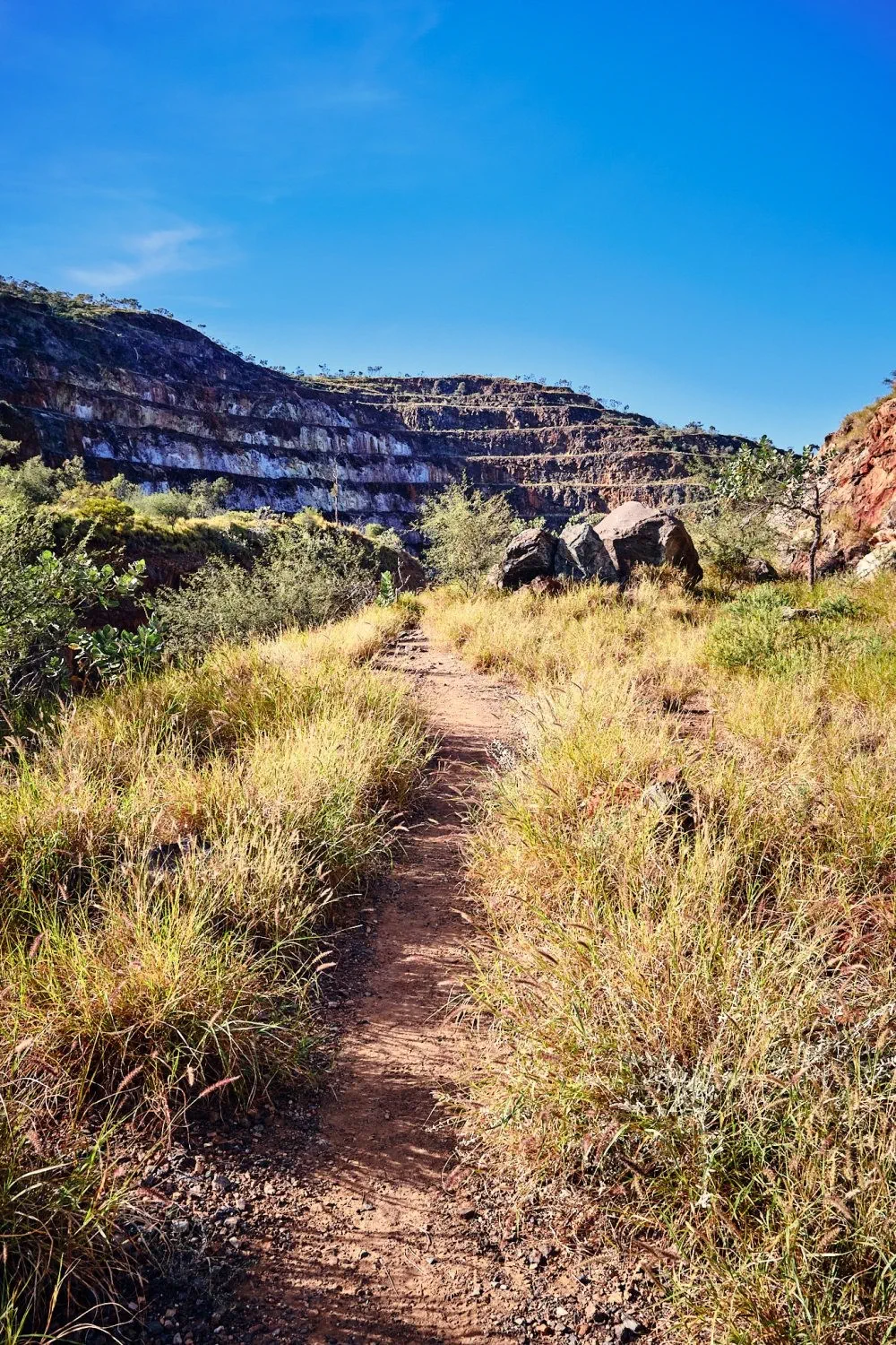 image_1742030795_1414673287.webp