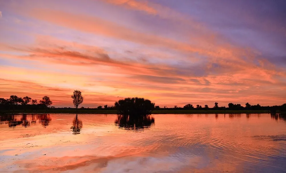 image_1742030797_179461604.webp