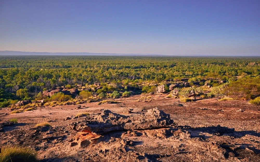 image_1742030797_2006736360.webp