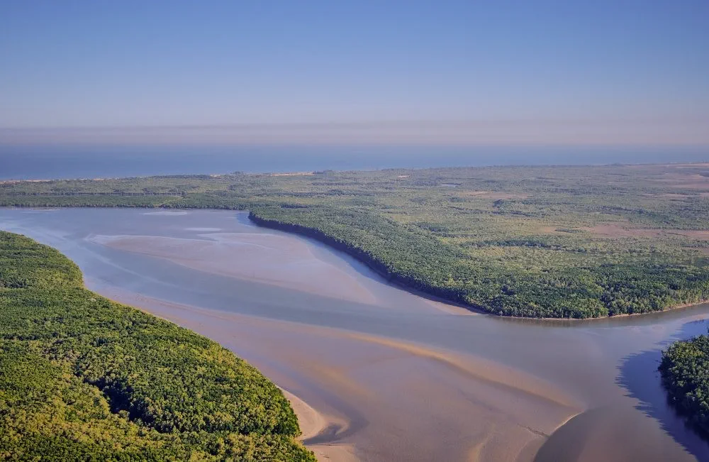 image_1742030798_1349215800.webp