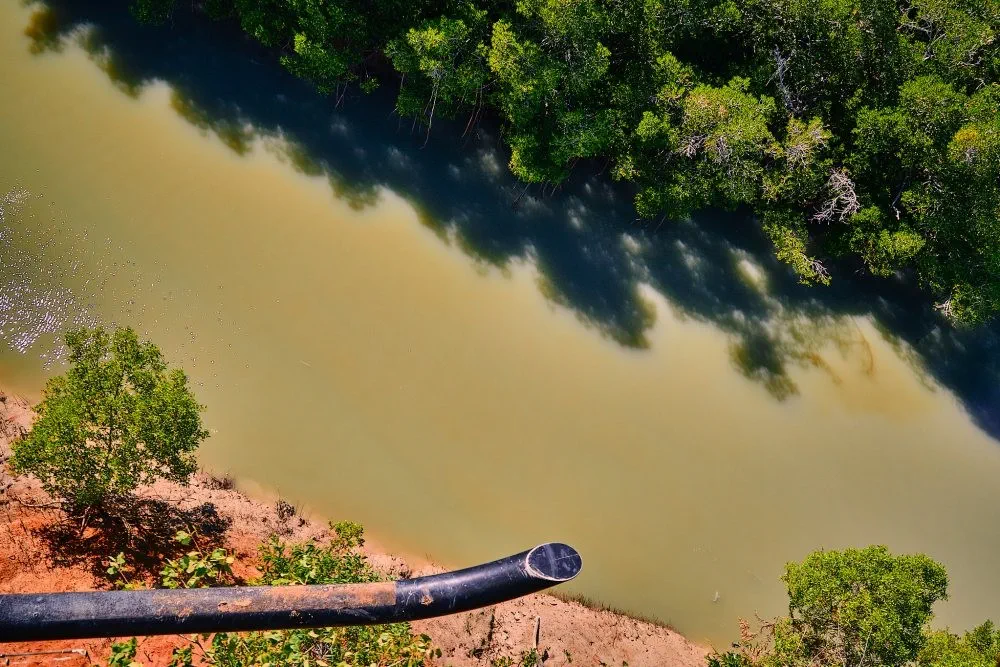 image_1742030798_1764765269.webp