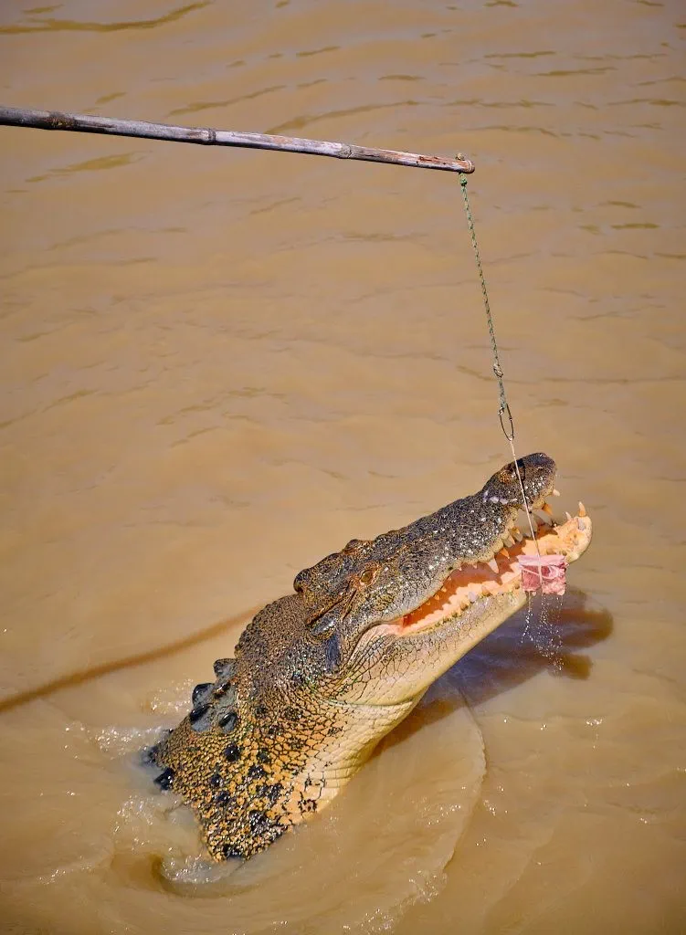image_1742030798_693457751.webp