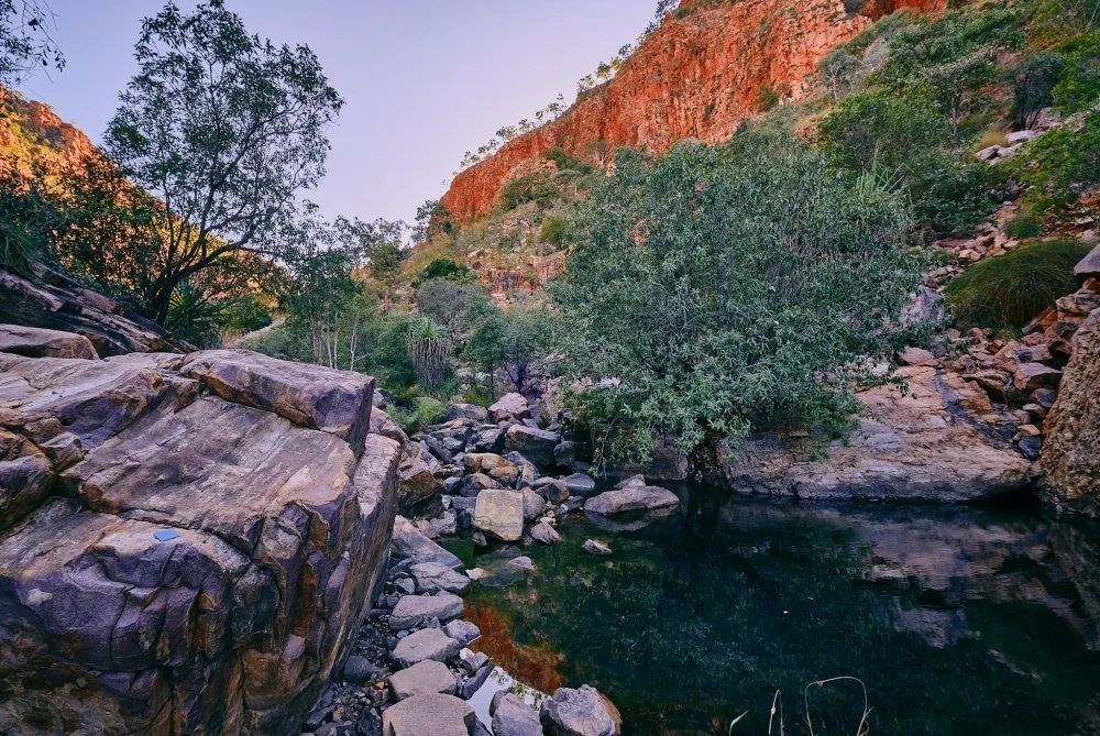 image_1742030799_1192435053.webp