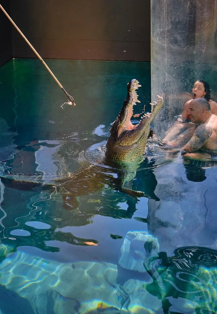 image_1742030799_3215778.webp