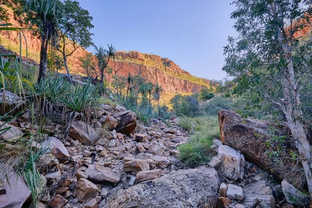 image_1742030800_1257911861.webp