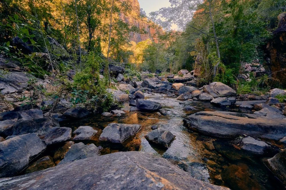 image_1742030800_1330427182.webp