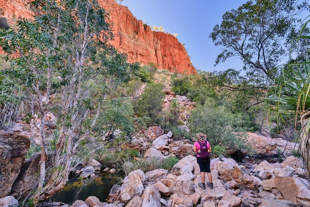 image_1742030800_332380913.webp