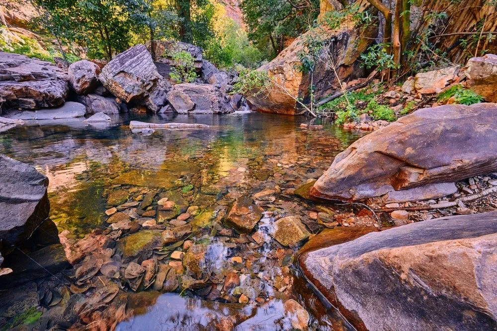 image_1742030800_405264078.webp