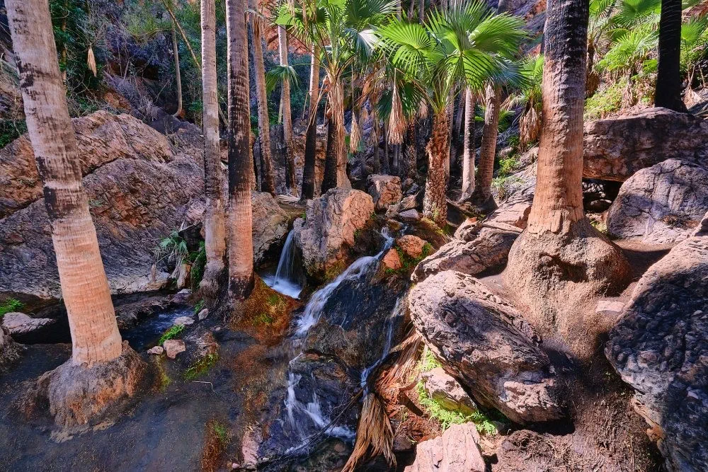 image_1742030800_513047947.webp