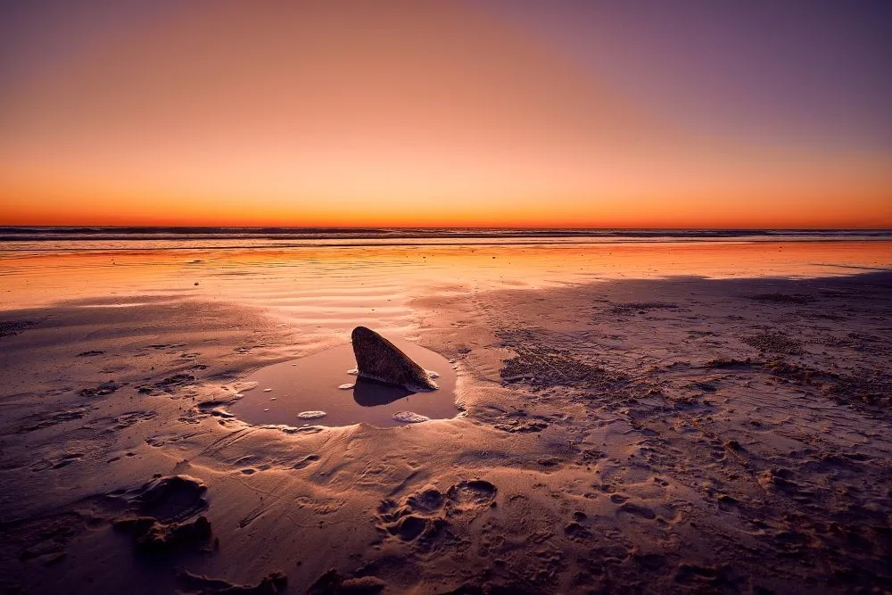image_1742030802_158006648.webp