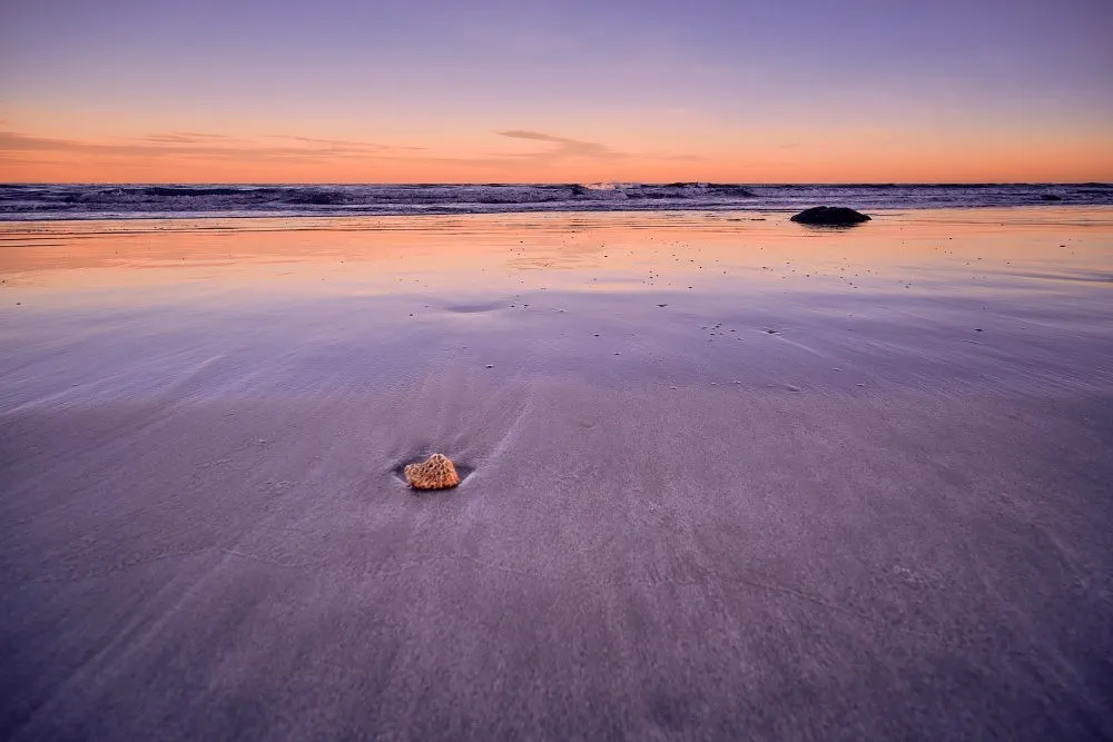 image_1742030802_274277700.webp