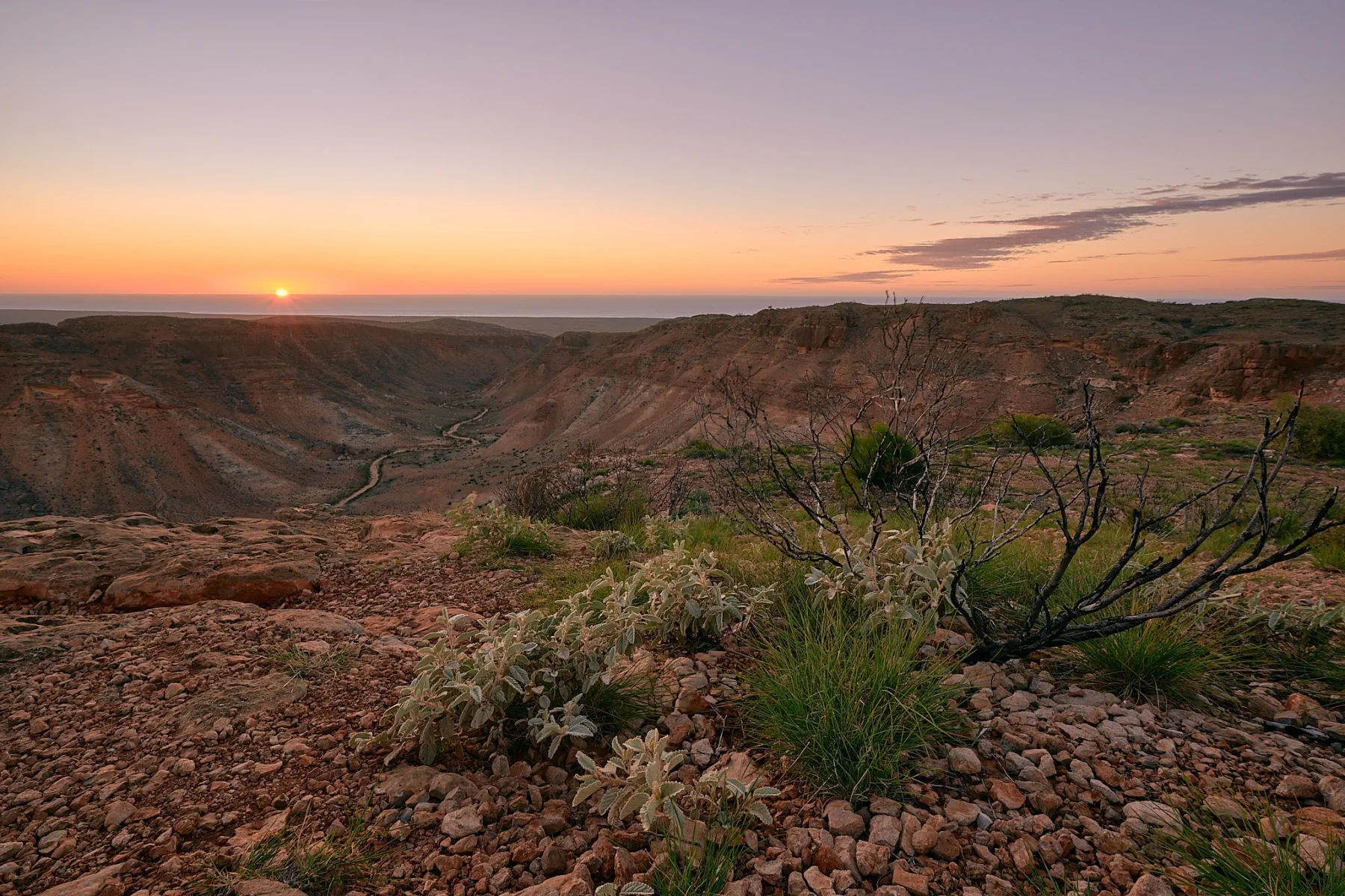 image_1742030806_2079012368.webp