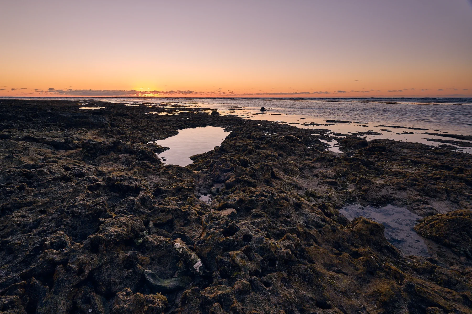 image_1742030806_479338089.webp