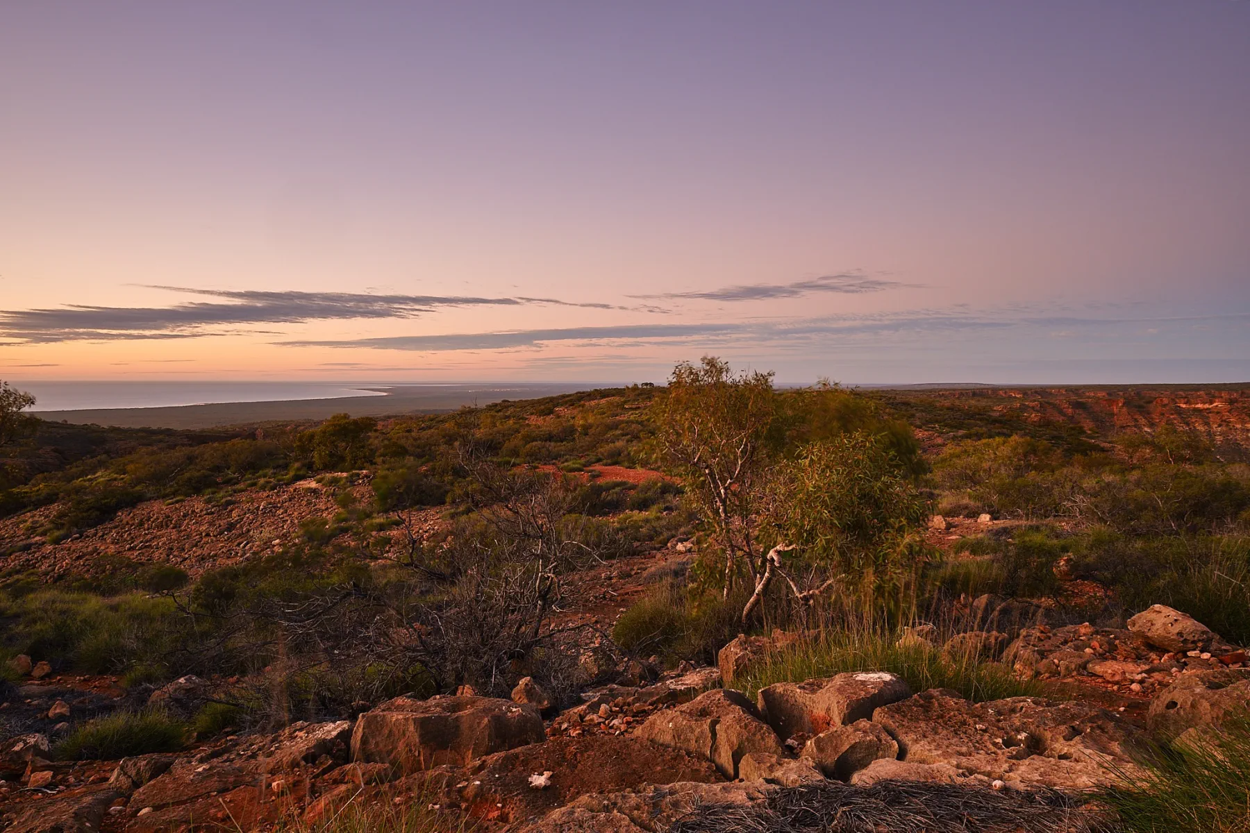 image_1742030806_714130450.webp