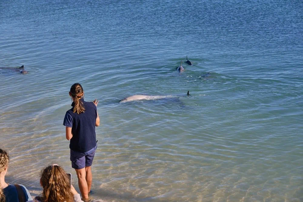image_1742030807_12166147.webp