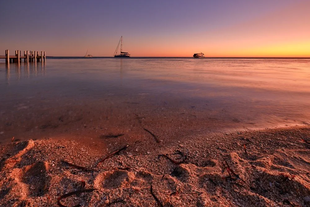 image_1742030807_1709838308.webp