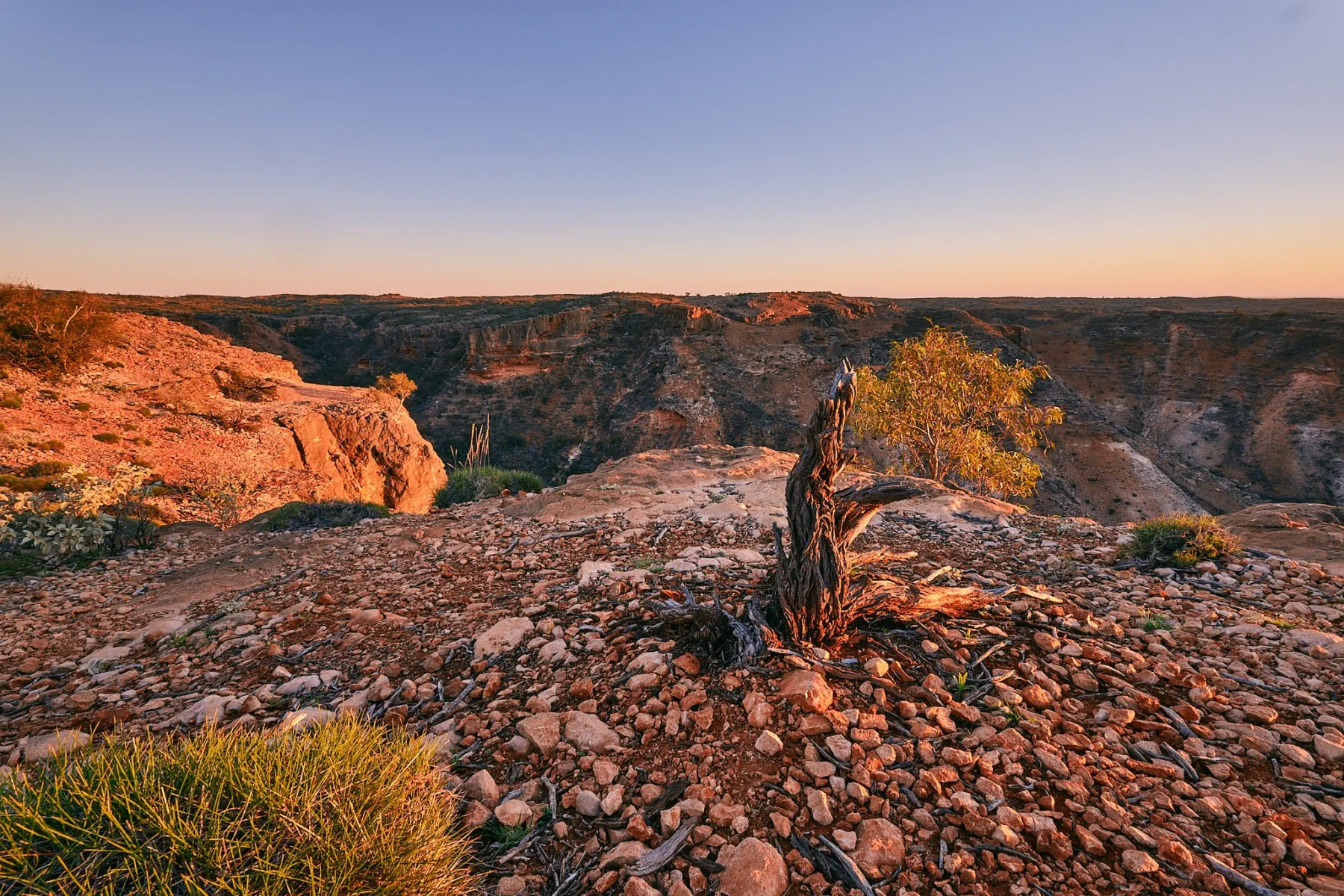 image_1742030807_2128303289.webp
