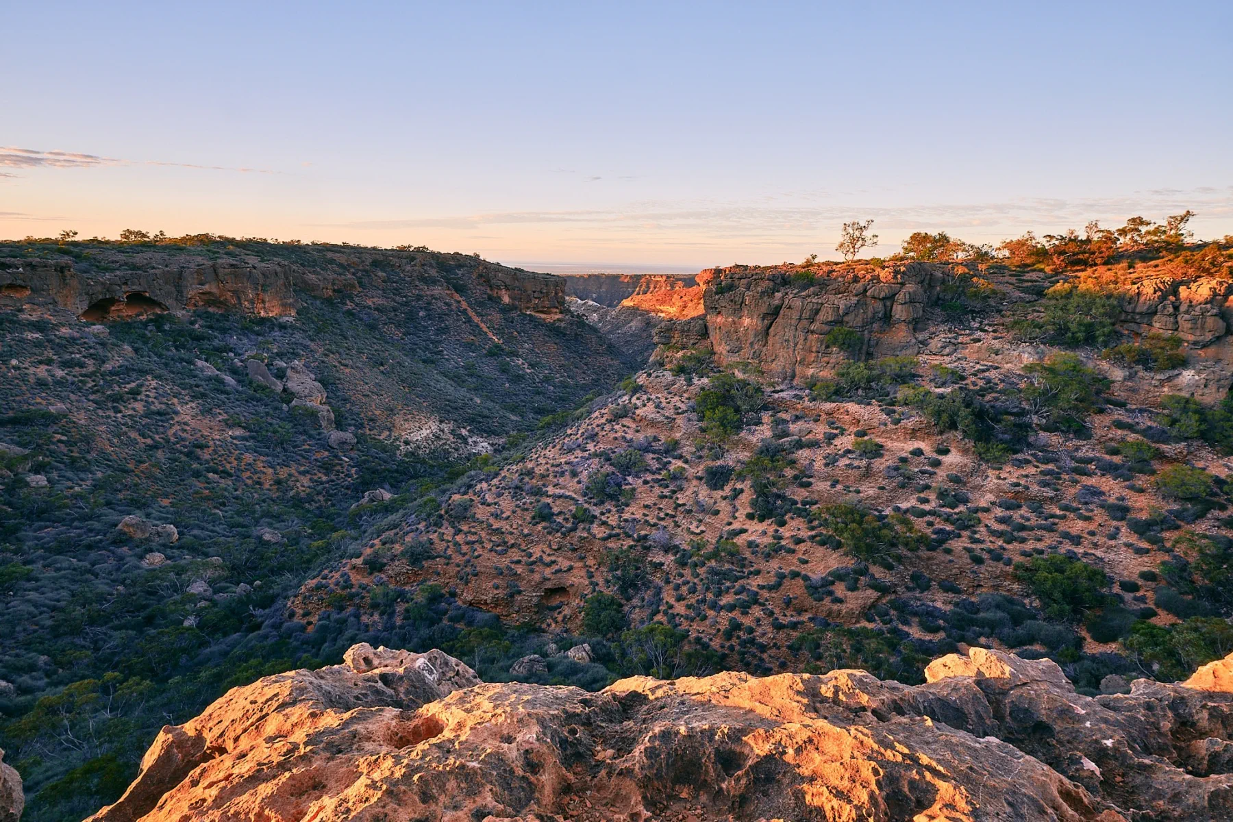 image_1742030807_240141345.webp
