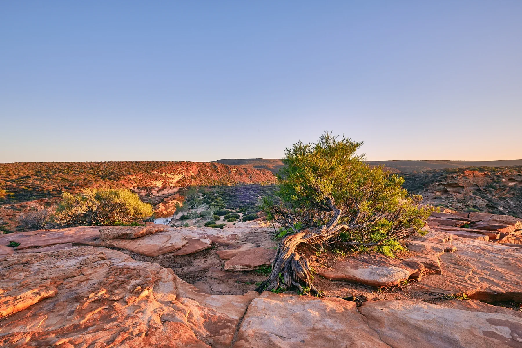 image_1742030808_2047167204.webp