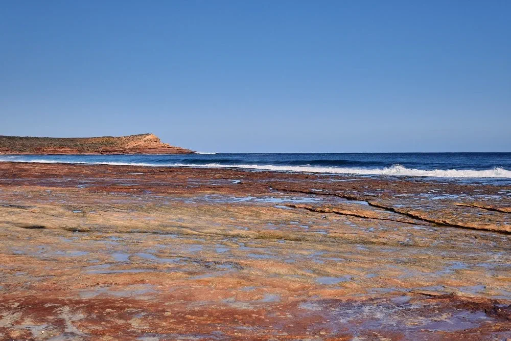 image_1742030809_1022006165.webp