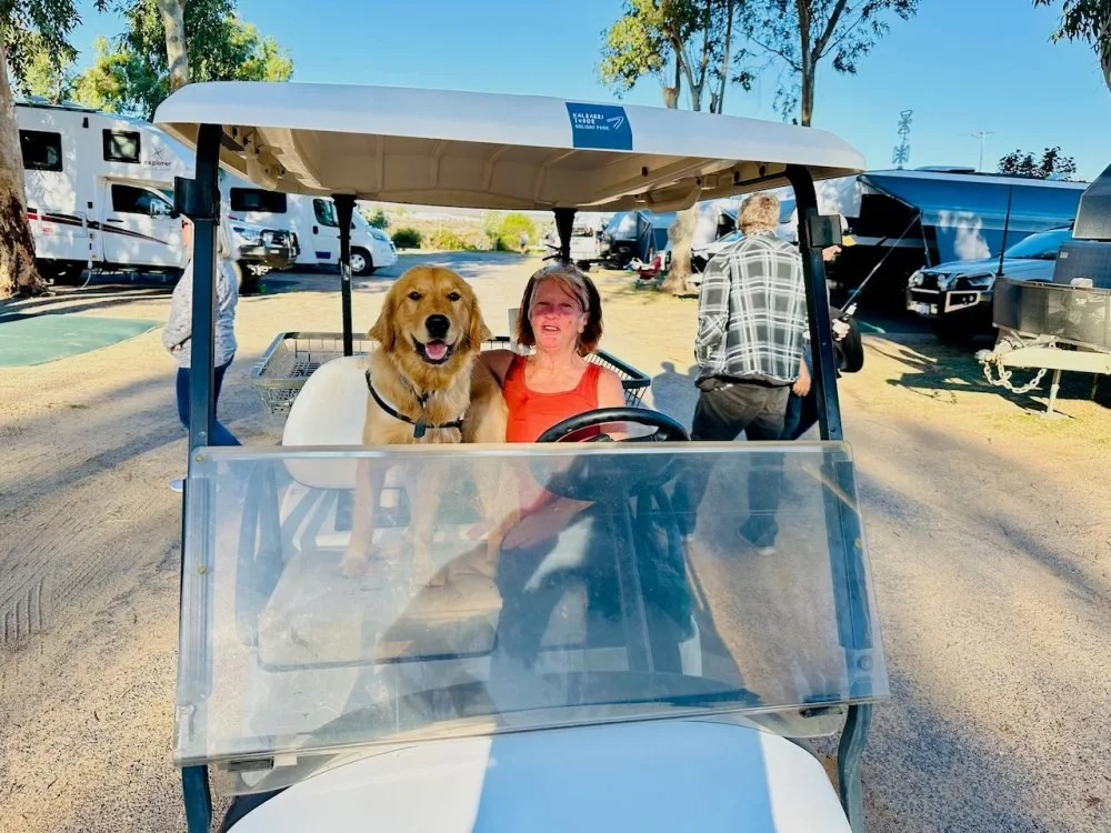 image_1742030809_1267268346.webp