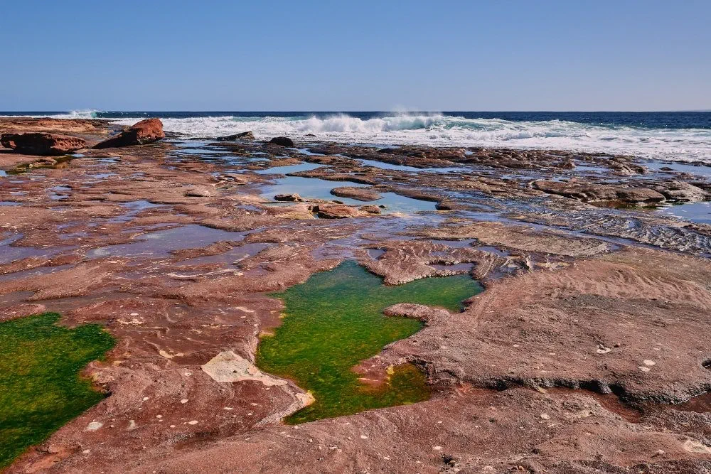 image_1742030809_1439273412.webp