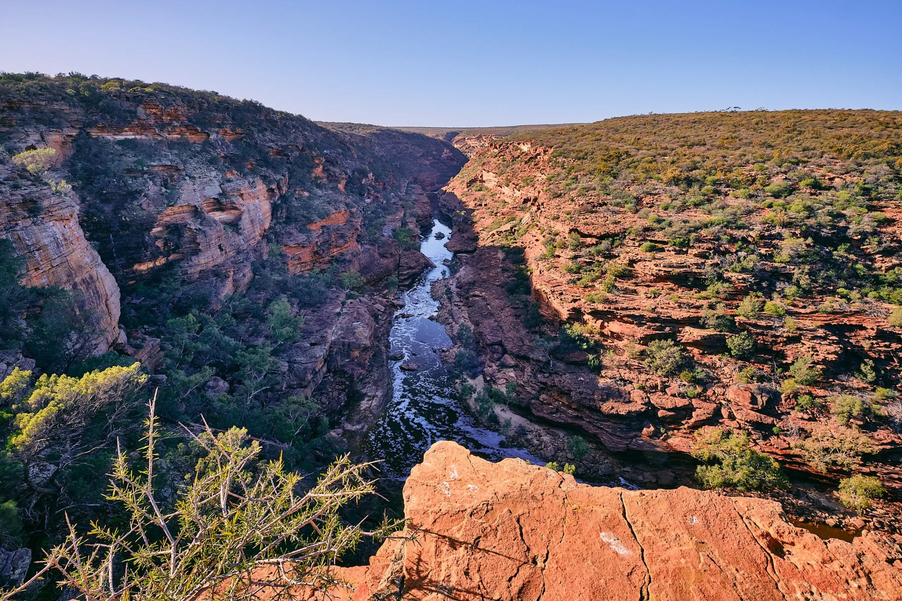 image_1742030809_963760260.webp