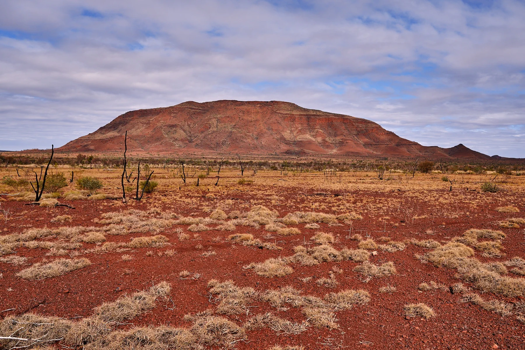 image_1742030810_1483305156.webp