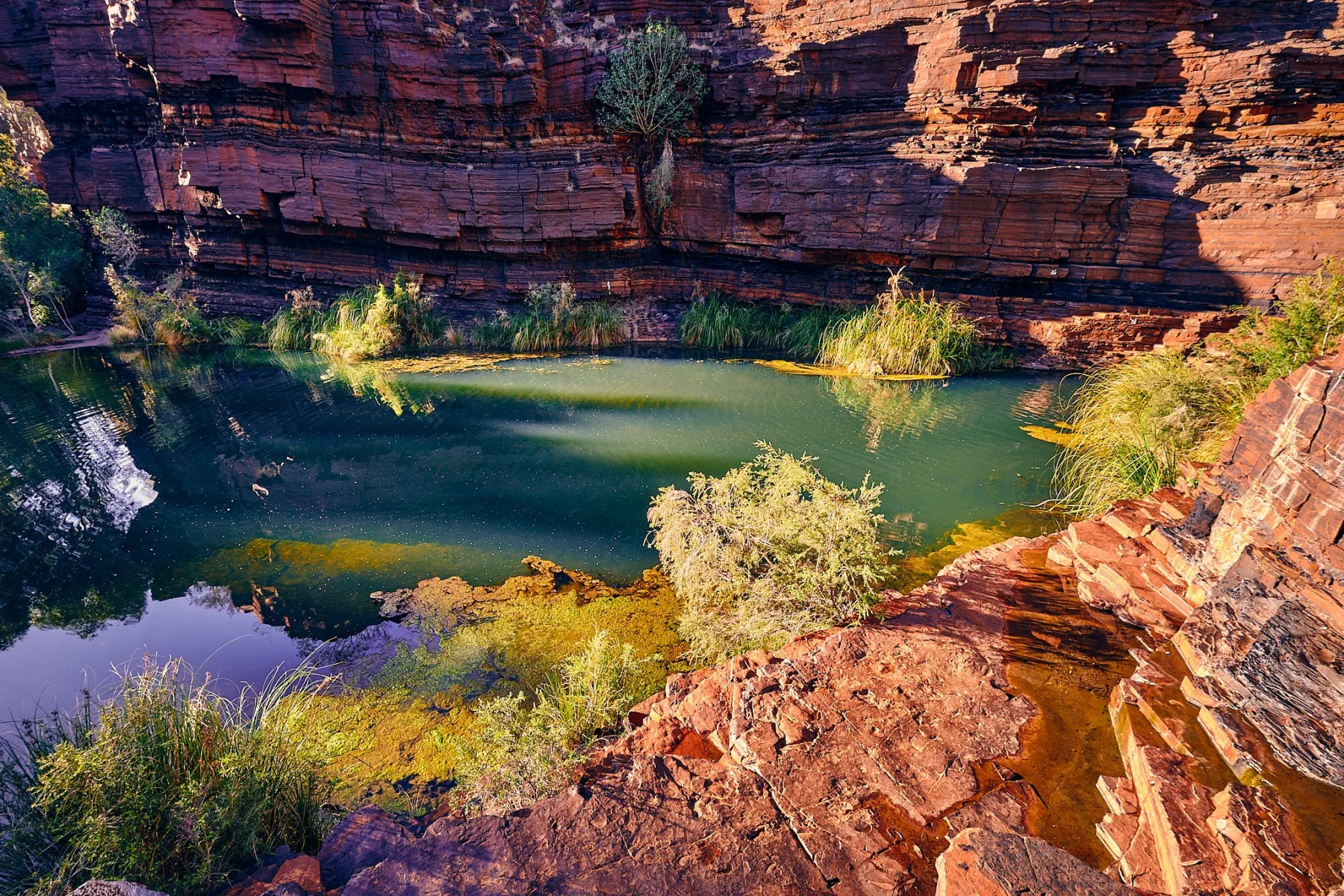 image_1742030810_287459201.webp