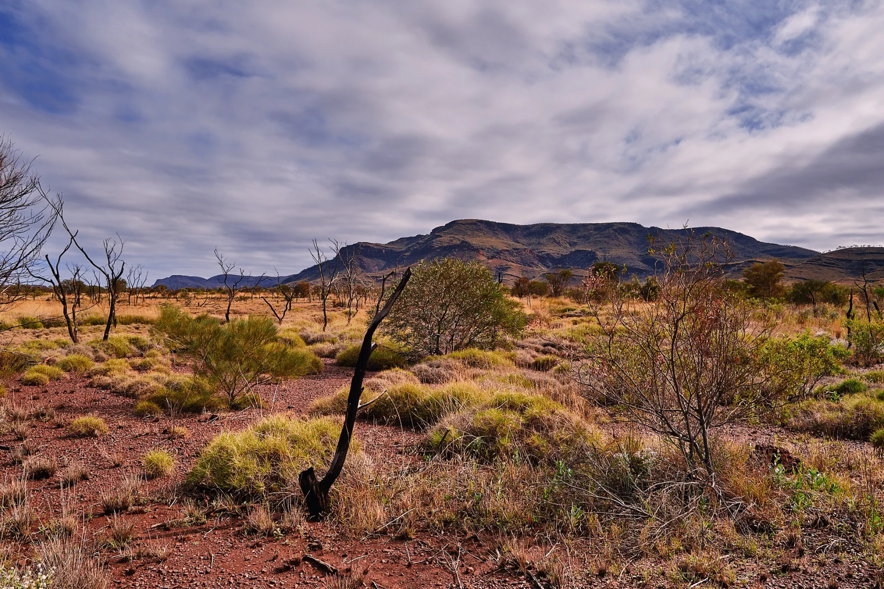 image_1742030810_452948380.webp