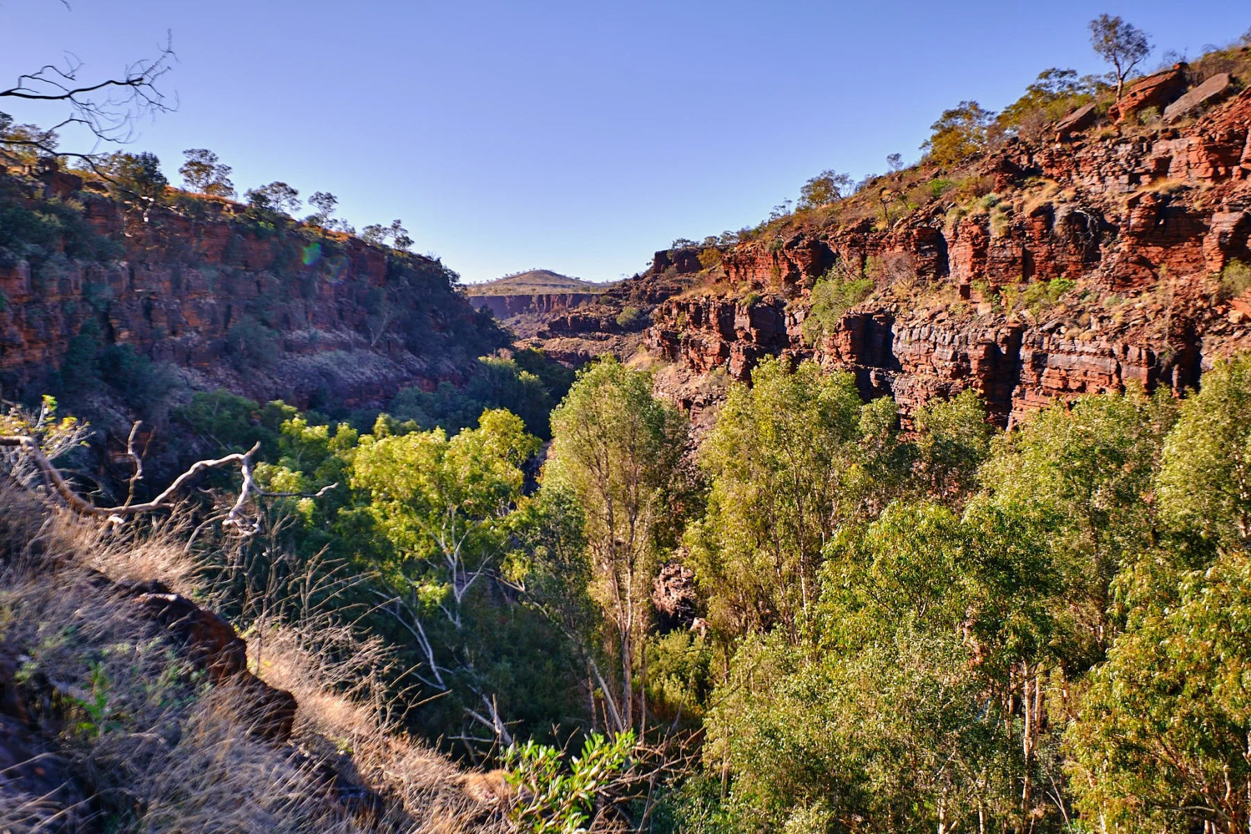 image_1742030811_1890323868.webp