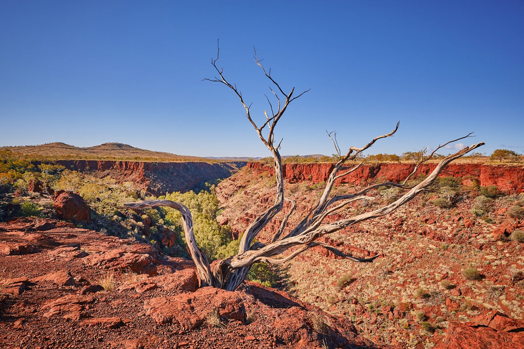 image_1742030812_1341386925.webp