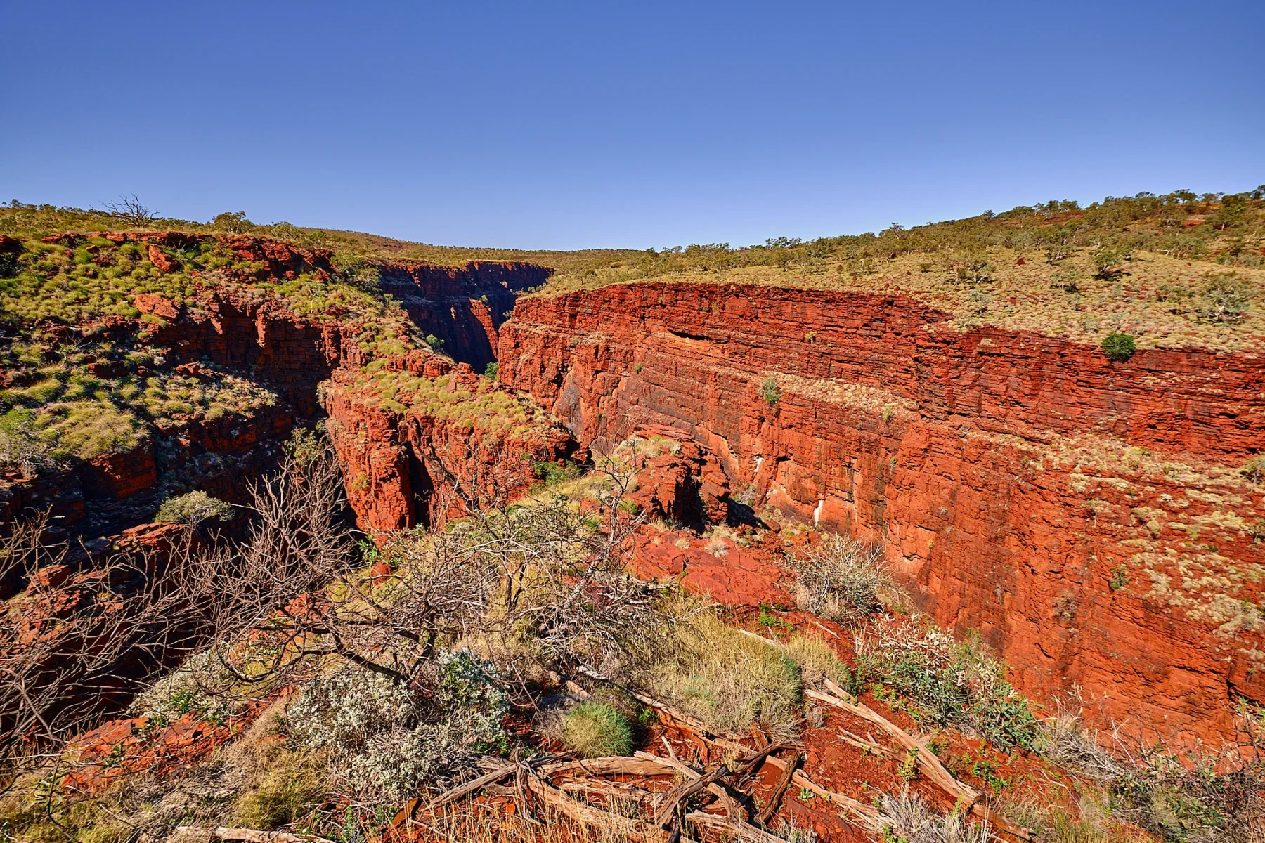 image_1742030812_1883777905.webp