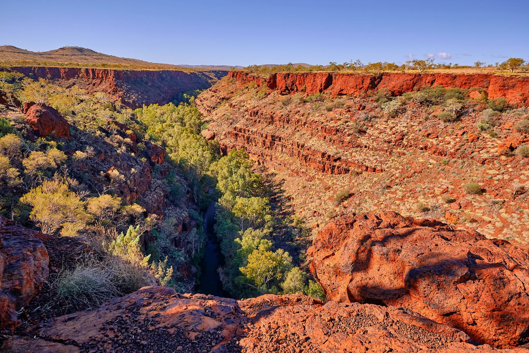 image_1742030812_342766086.webp