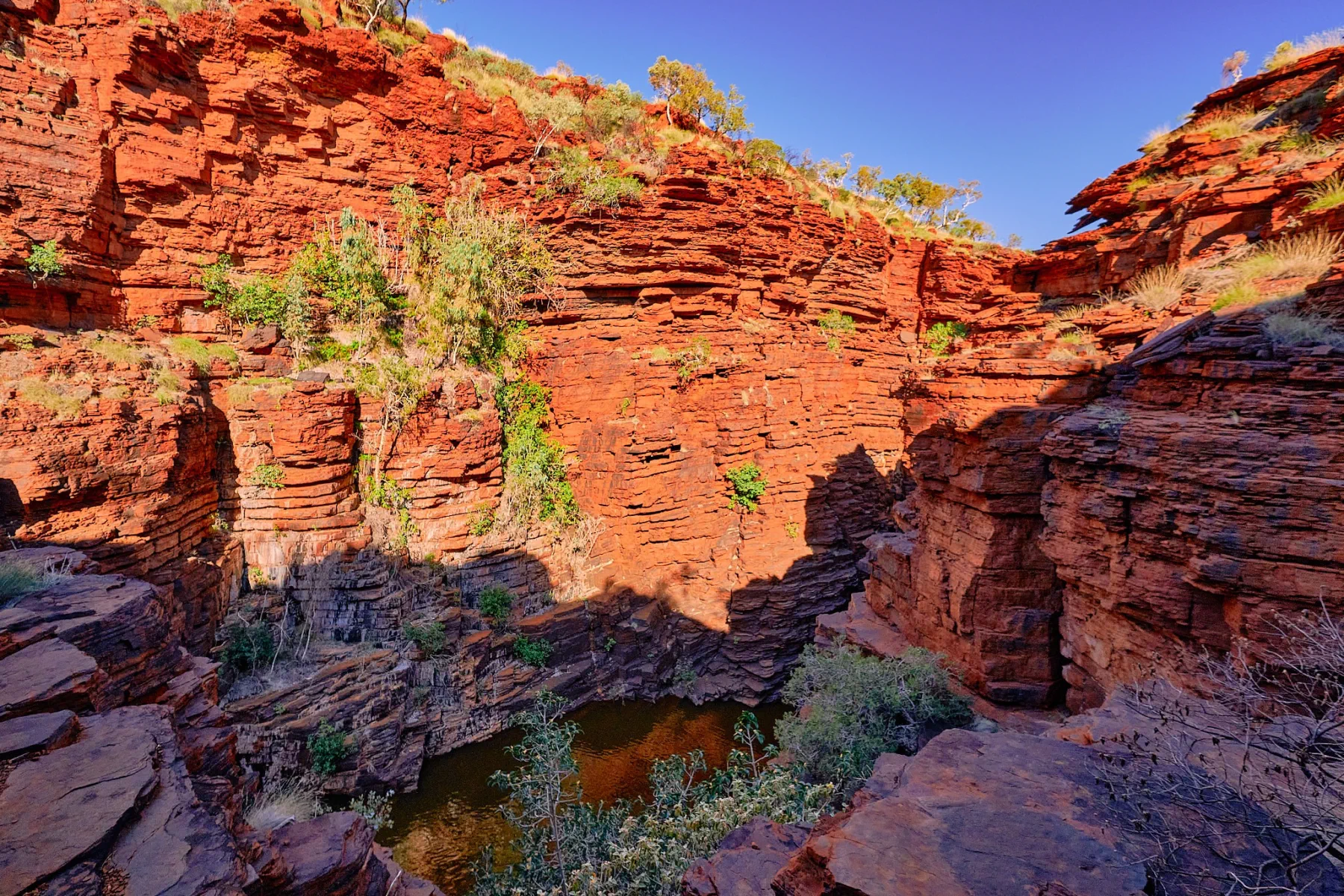 image_1742030813_1544780345.webp