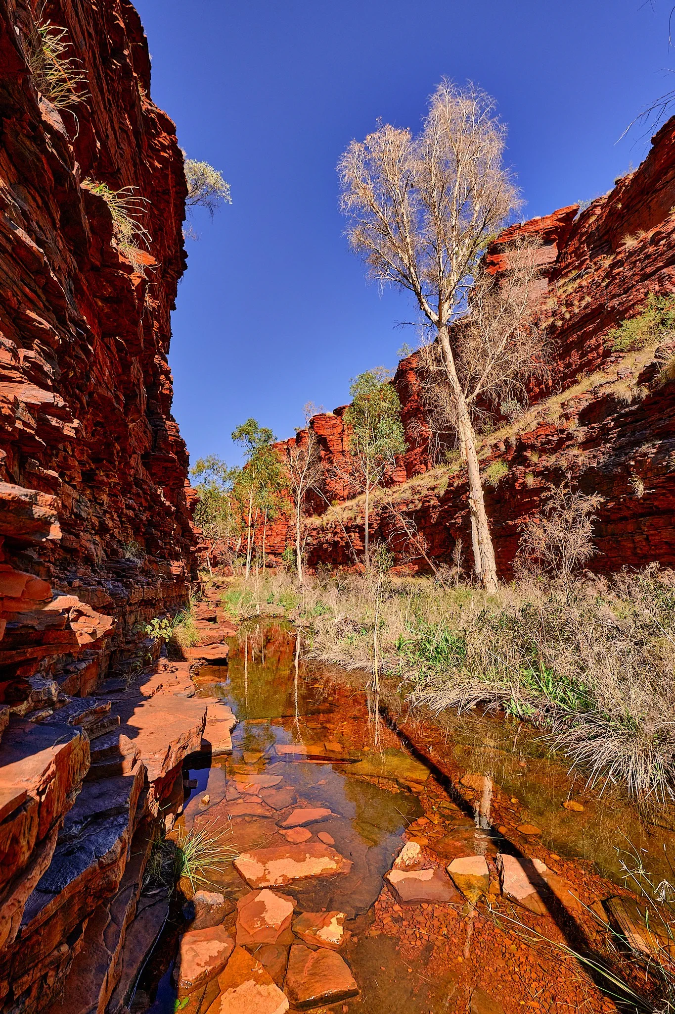 image_1742030813_921223321.webp