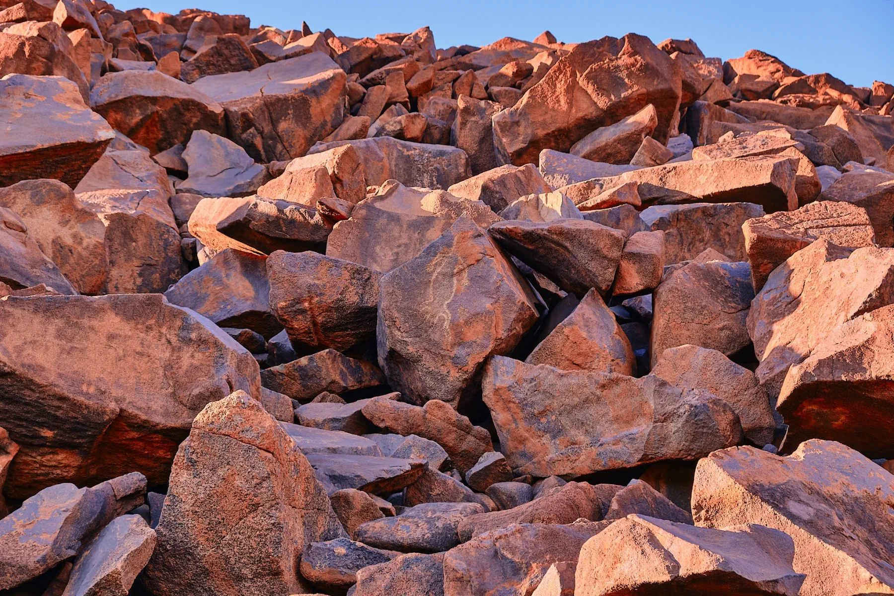image_1742030814_1170781007.webp