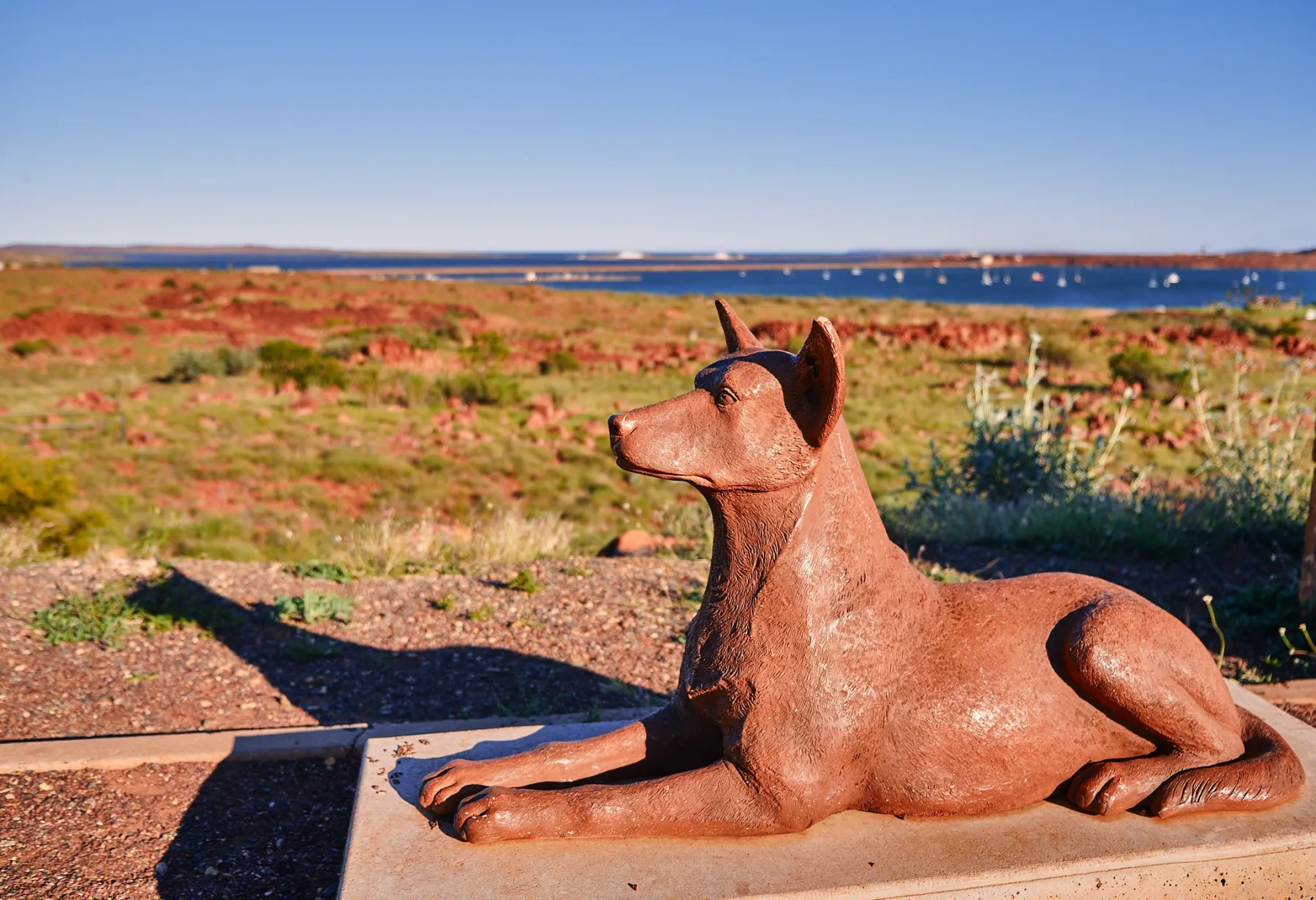 image_1742030814_1406554303.webp