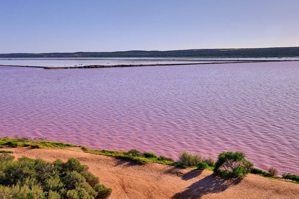 image_1742030815_212799894.webp