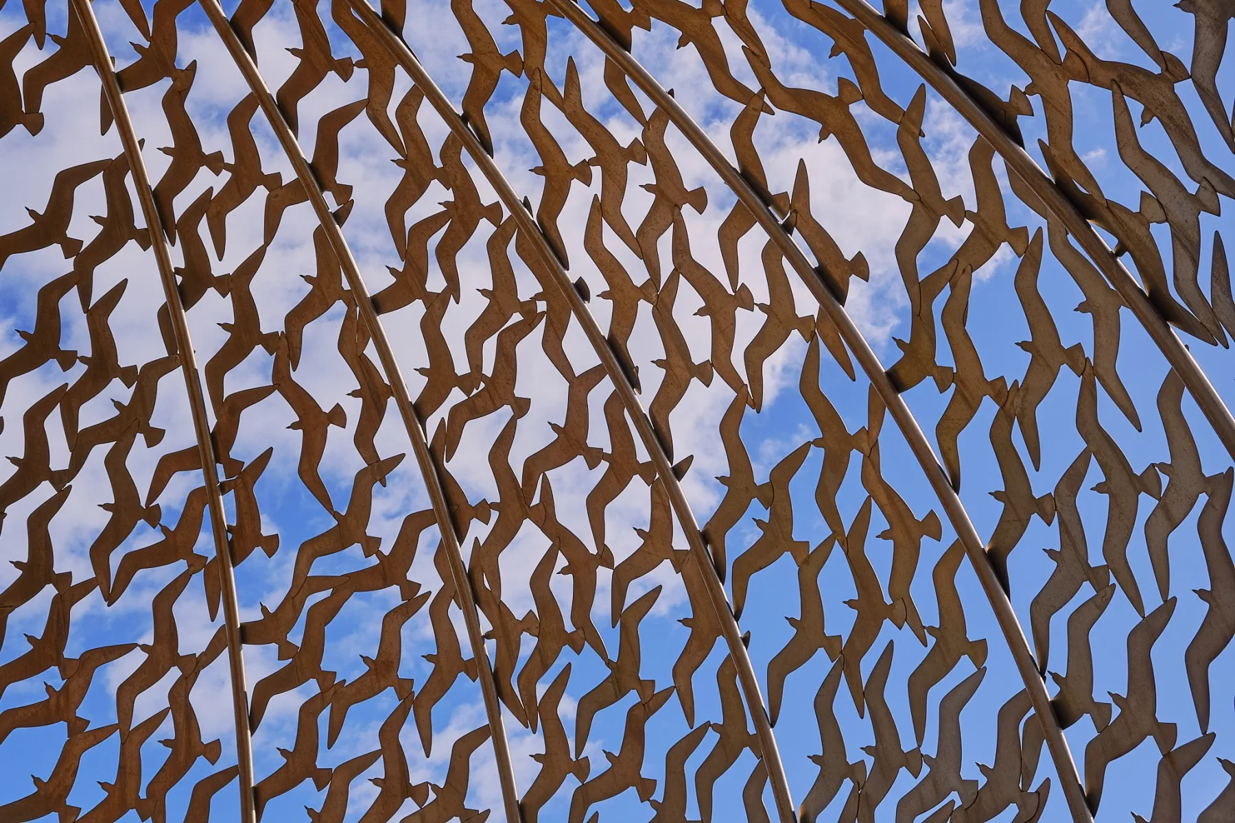 image_1742030816_227353068.webp