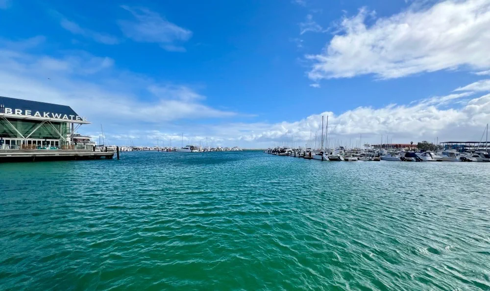image_1742030821_539019080.webp