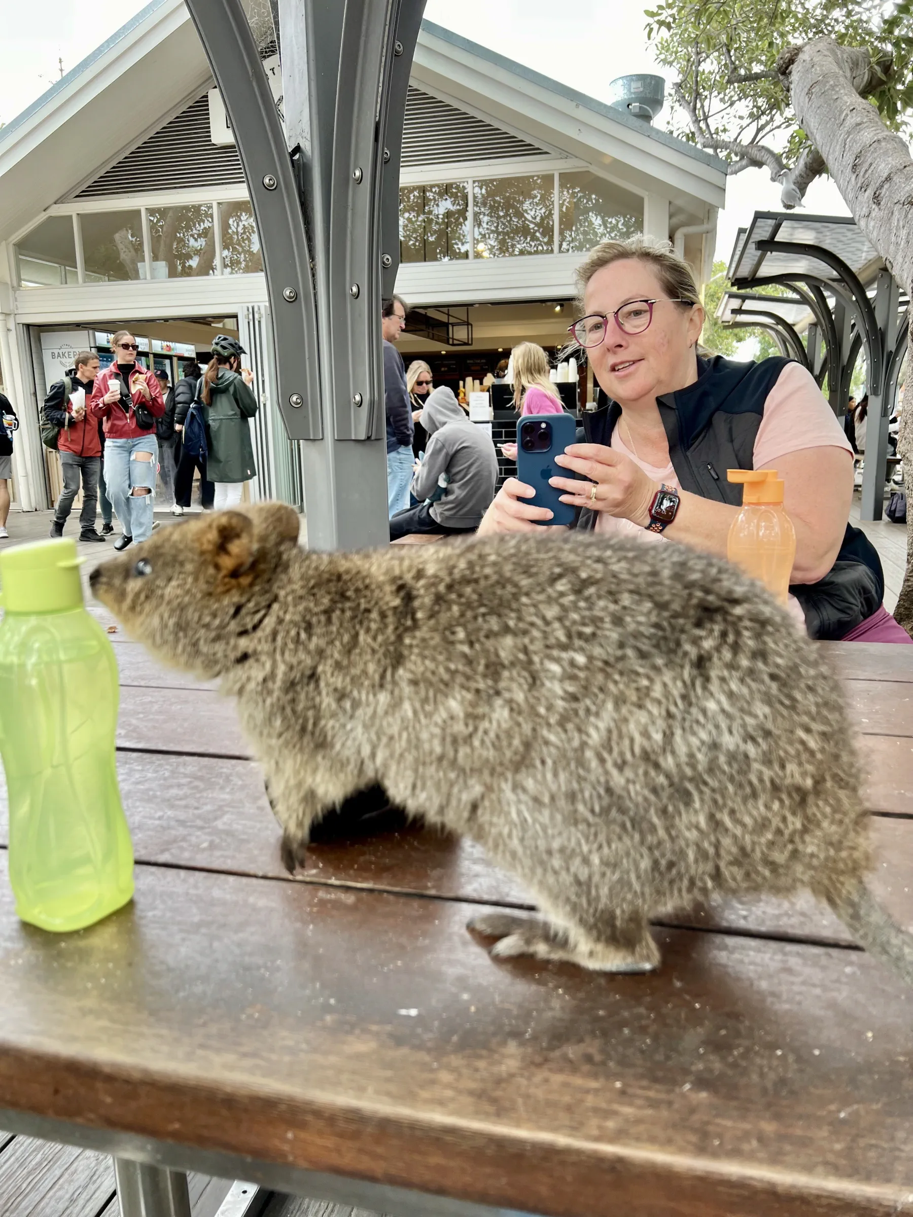 image_1742030822_1049207258.webp